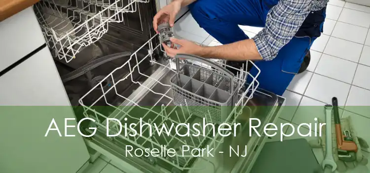 AEG Dishwasher Repair Roselle Park - NJ