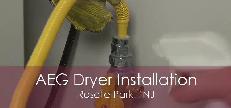 AEG Dryer Installation Roselle Park - NJ