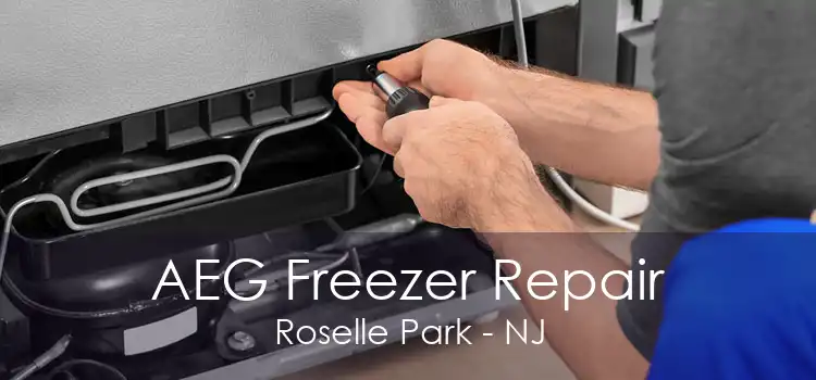 AEG Freezer Repair Roselle Park - NJ