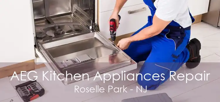 AEG Kitchen Appliances Repair Roselle Park - NJ