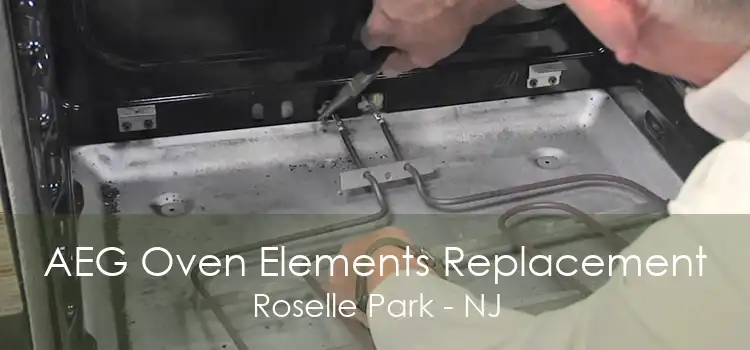 AEG Oven Elements Replacement Roselle Park - NJ