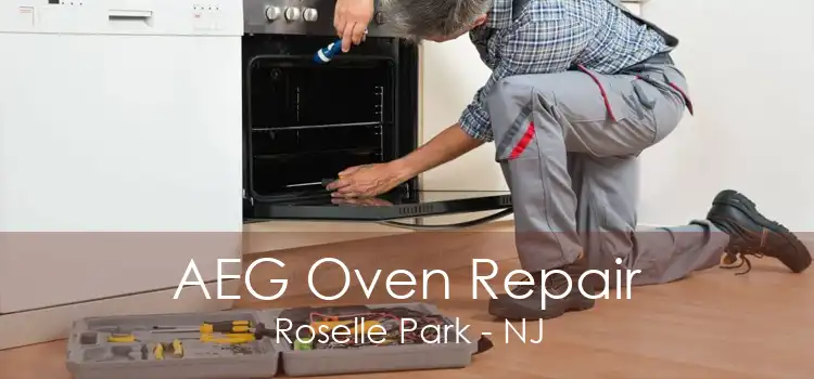 AEG Oven Repair Roselle Park - NJ