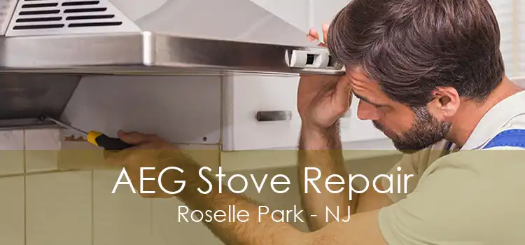 AEG Stove Repair Roselle Park - NJ