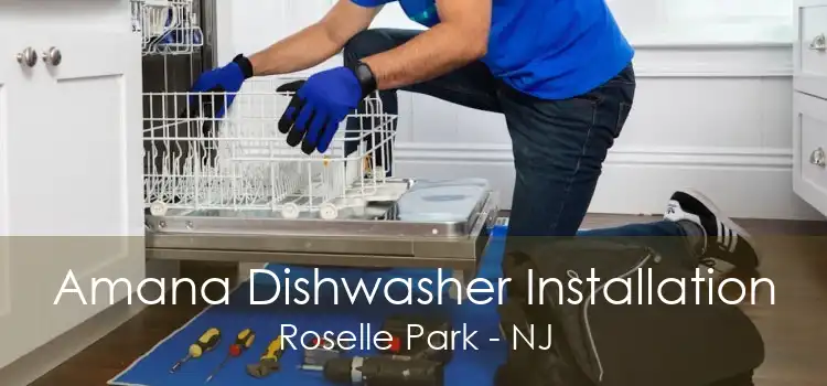 Amana Dishwasher Installation Roselle Park - NJ