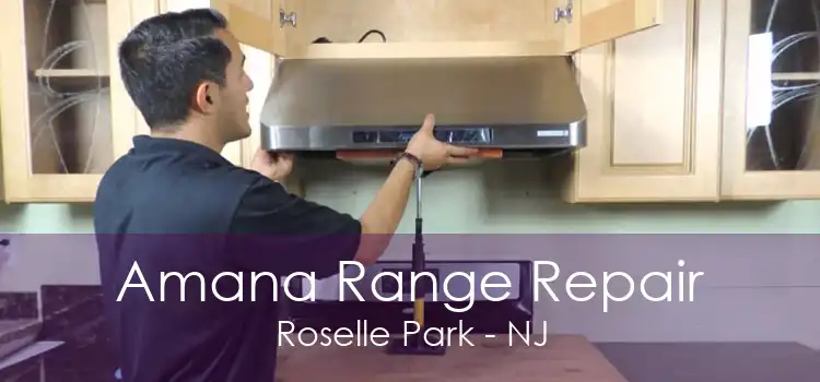 Amana Range Repair Roselle Park - NJ