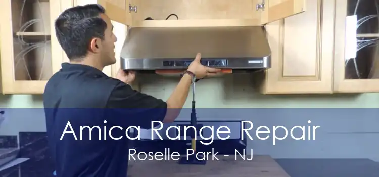 Amica Range Repair Roselle Park - NJ