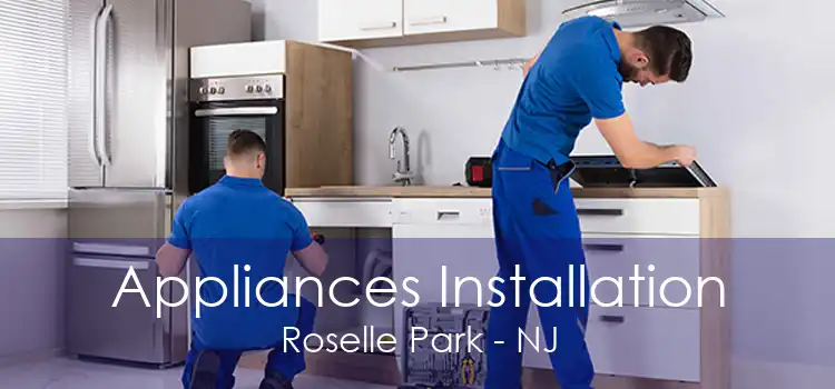 Appliances Installation Roselle Park - NJ