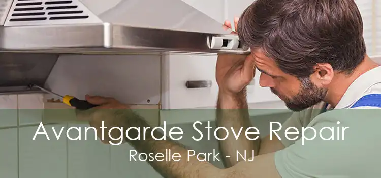 Avantgarde Stove Repair Roselle Park - NJ