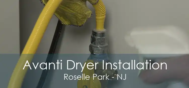 Avanti Dryer Installation Roselle Park - NJ