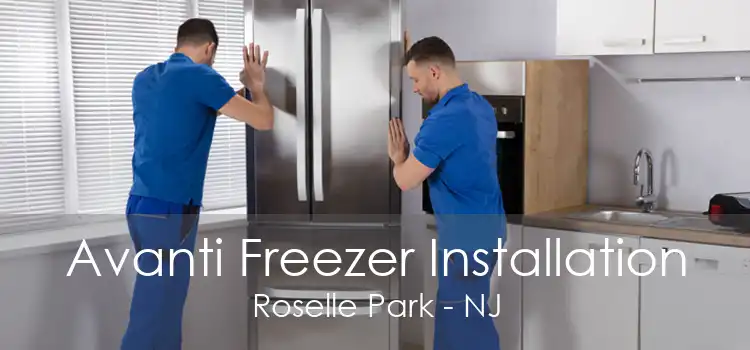 Avanti Freezer Installation Roselle Park - NJ