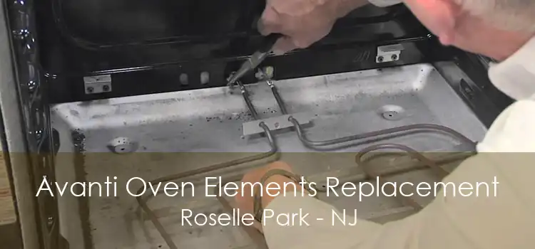 Avanti Oven Elements Replacement Roselle Park - NJ