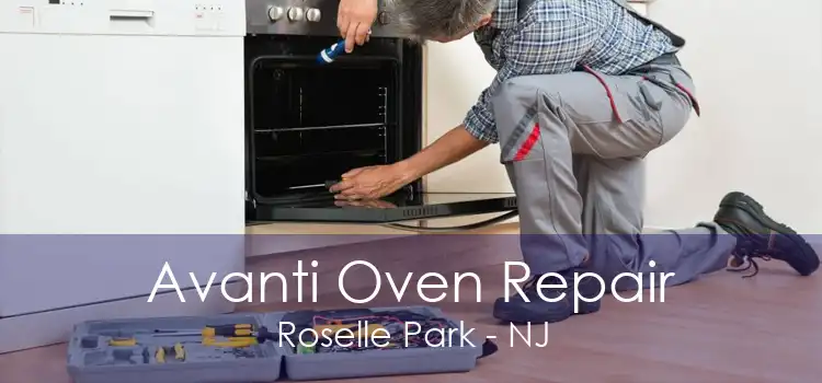 Avanti Oven Repair Roselle Park - NJ