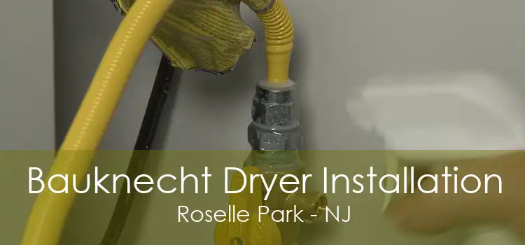 Bauknecht Dryer Installation Roselle Park - NJ