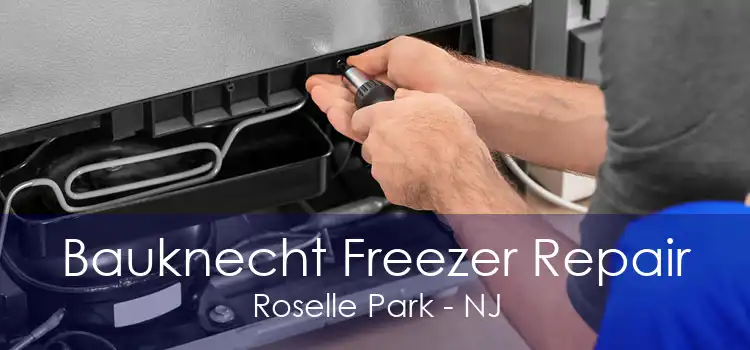 Bauknecht Freezer Repair Roselle Park - NJ