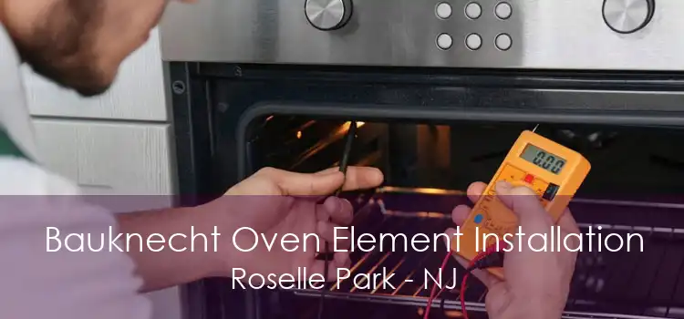 Bauknecht Oven Element Installation Roselle Park - NJ