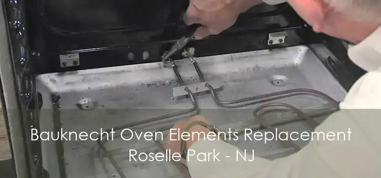 Bauknecht Oven Elements Replacement Roselle Park - NJ