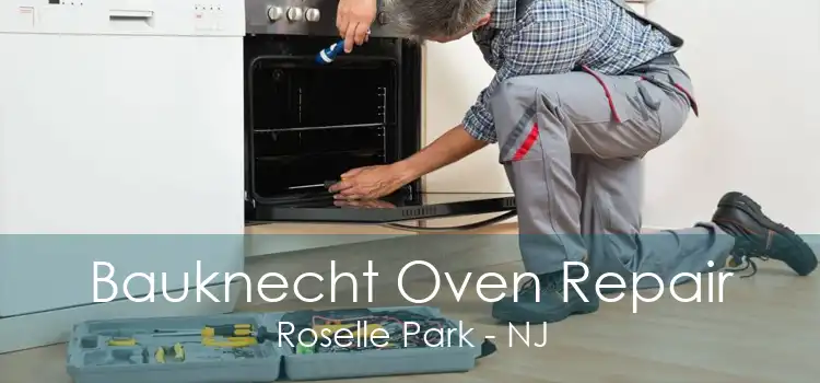 Bauknecht Oven Repair Roselle Park - NJ