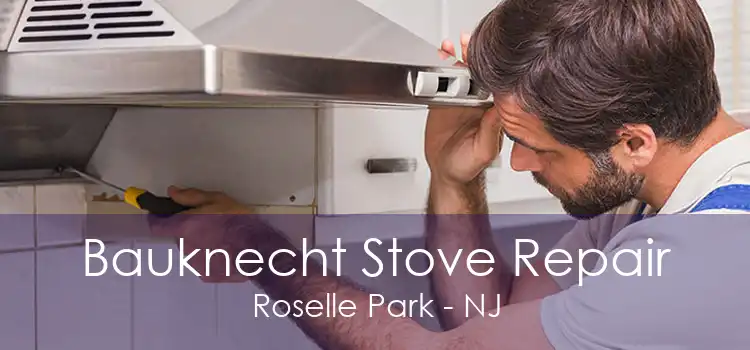 Bauknecht Stove Repair Roselle Park - NJ