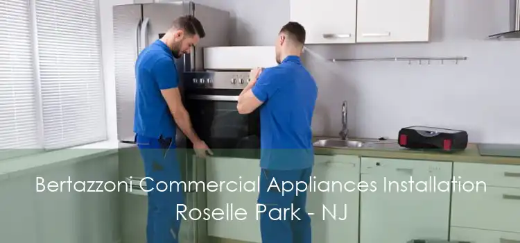 Bertazzoni Commercial Appliances Installation Roselle Park - NJ