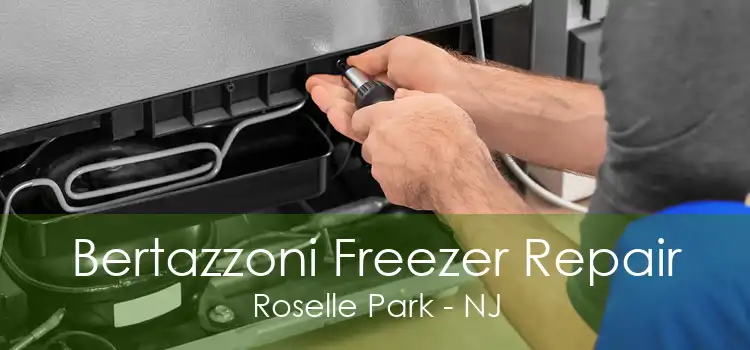 Bertazzoni Freezer Repair Roselle Park - NJ