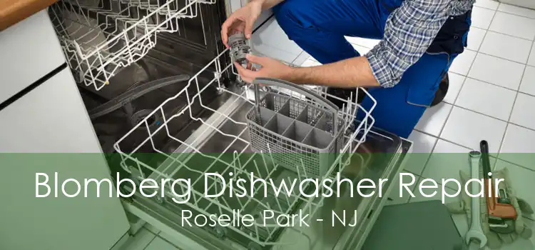 Blomberg Dishwasher Repair Roselle Park - NJ