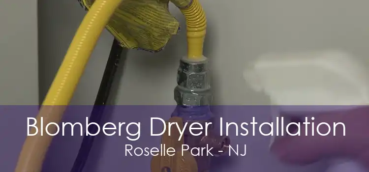 Blomberg Dryer Installation Roselle Park - NJ