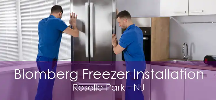 Blomberg Freezer Installation Roselle Park - NJ