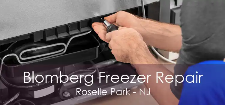 Blomberg Freezer Repair Roselle Park - NJ