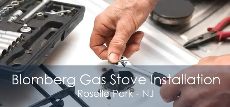 Blomberg Gas Stove Installation Roselle Park - NJ