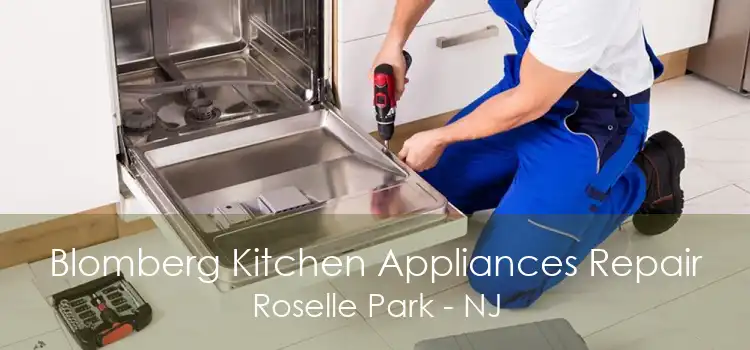 Blomberg Kitchen Appliances Repair Roselle Park - NJ