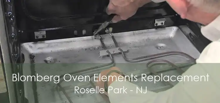 Blomberg Oven Elements Replacement Roselle Park - NJ