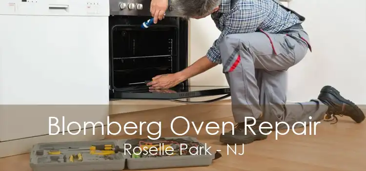 Blomberg Oven Repair Roselle Park - NJ