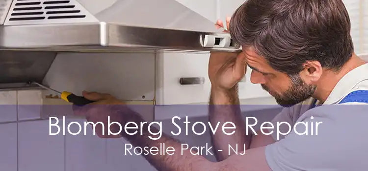 Blomberg Stove Repair Roselle Park - NJ