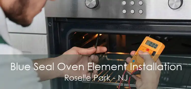 Blue Seal Oven Element Installation Roselle Park - NJ