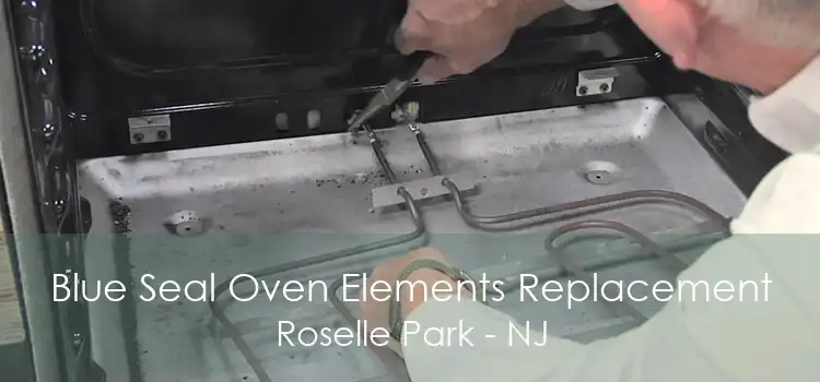 Blue Seal Oven Elements Replacement Roselle Park - NJ