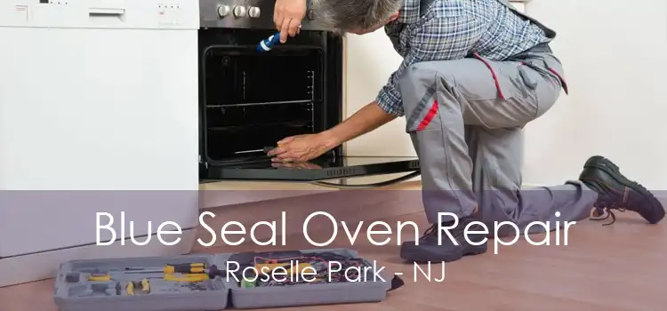 Blue Seal Oven Repair Roselle Park - NJ