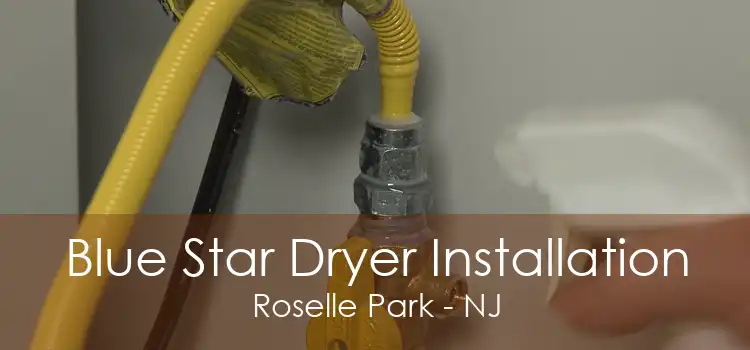 Blue Star Dryer Installation Roselle Park - NJ