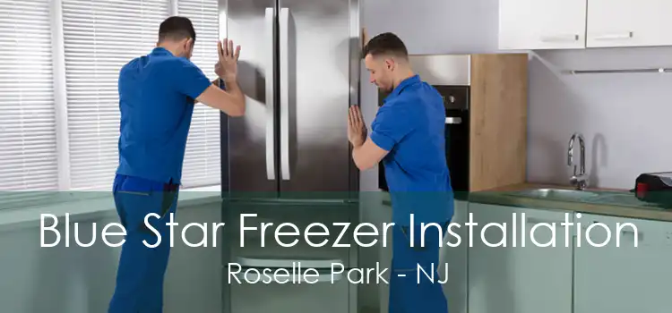 Blue Star Freezer Installation Roselle Park - NJ