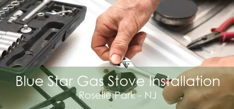 Blue Star Gas Stove Installation Roselle Park - NJ