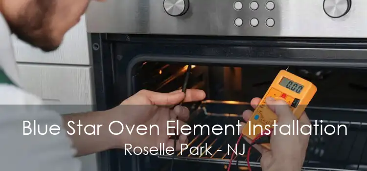 Blue Star Oven Element Installation Roselle Park - NJ