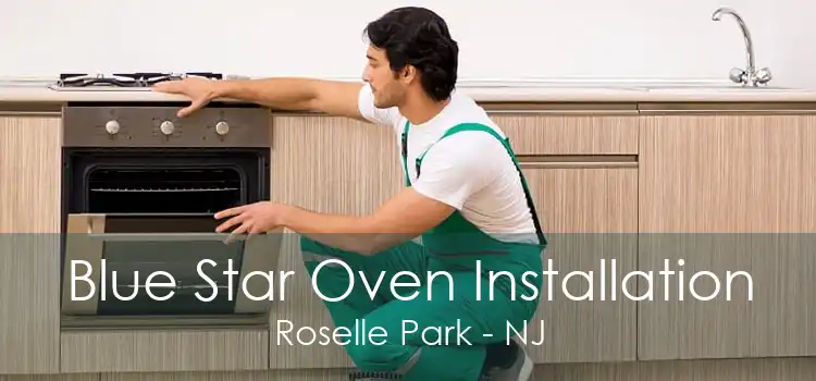 Blue Star Oven Installation Roselle Park - NJ