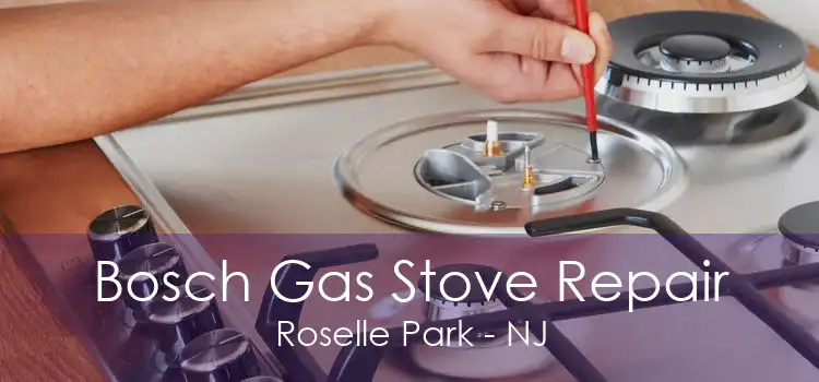 Bosch Gas Stove Repair Roselle Park - NJ