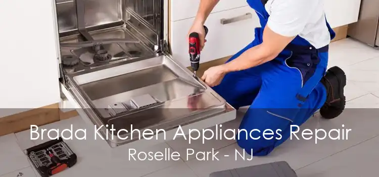 Brada Kitchen Appliances Repair Roselle Park - NJ