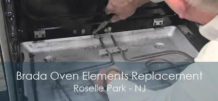 Brada Oven Elements Replacement Roselle Park - NJ