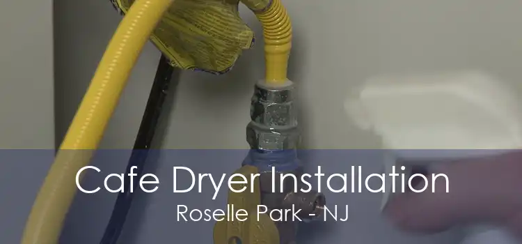 Cafe Dryer Installation Roselle Park - NJ