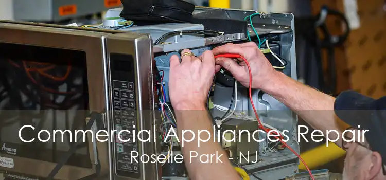 Commercial Appliances Repair Roselle Park - NJ