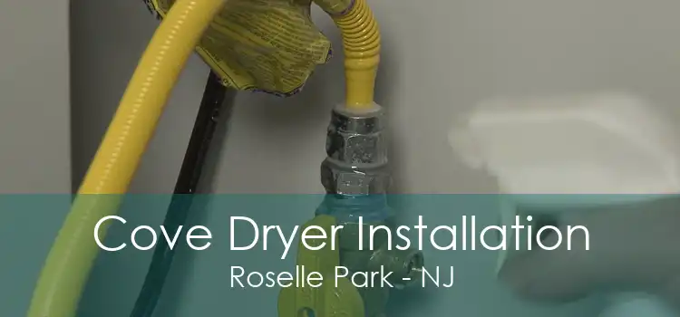 Cove Dryer Installation Roselle Park - NJ