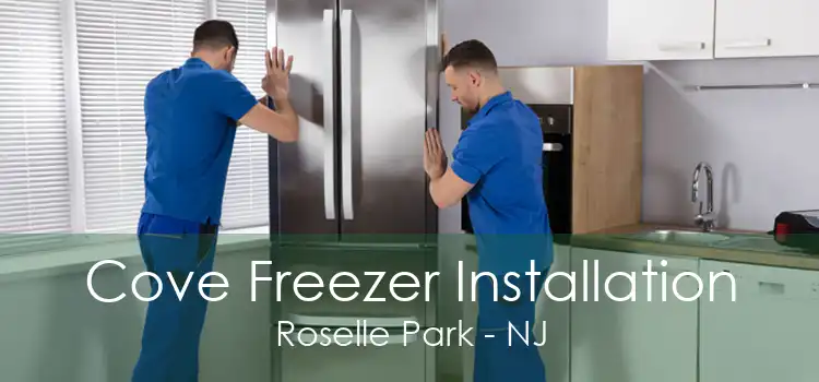 Cove Freezer Installation Roselle Park - NJ