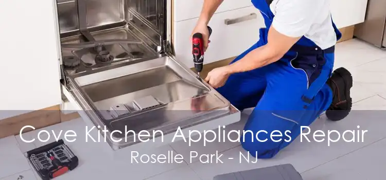 Cove Kitchen Appliances Repair Roselle Park - NJ