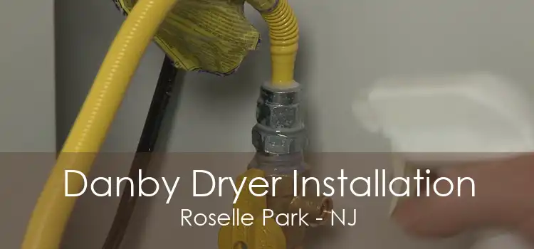 Danby Dryer Installation Roselle Park - NJ